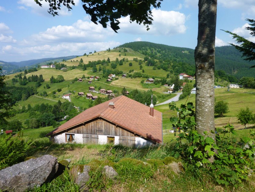 Épinal, Vosges Department, France